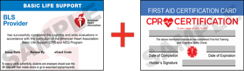 Sample American Heart Association AHA BLS CPR Card Certificaiton and First Aid Certification Card from CPR Certification West Palm Beach