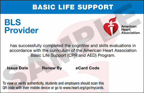 Sample American Heart Association AHA BLS CPR Card Certification from CPR Certification West Palm Beach