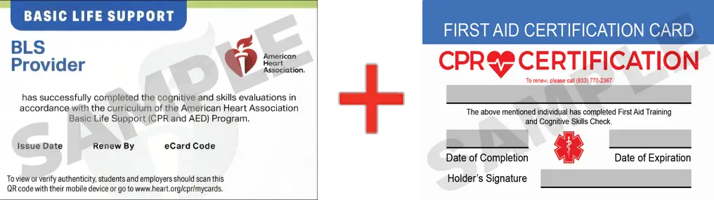 Sample American Heart Association AHA BLS CPR Card Certification and First Aid Certification Card from CPR Certification West Palm Beach